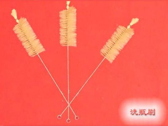 点击查看详细信息<br>标题：洗瓶刷 阅读次数：2373